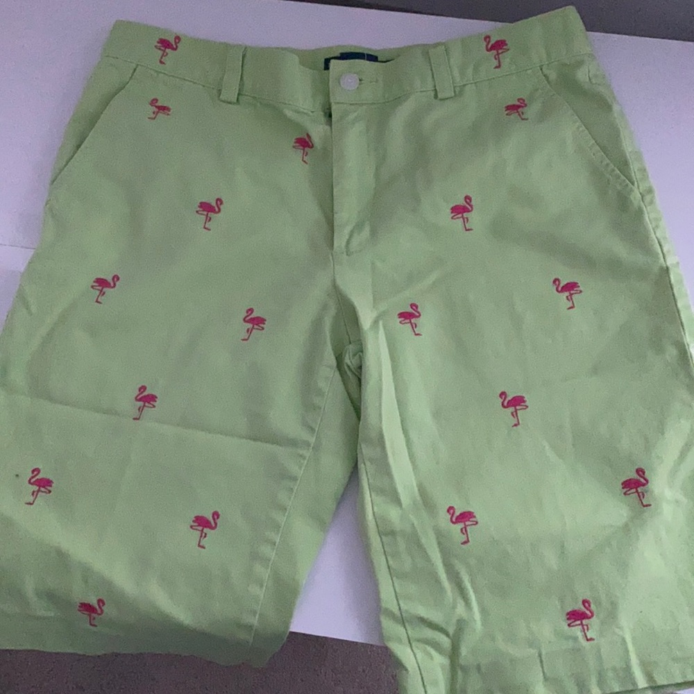 Ralph Lauren Shorts Sz 6 Flamingo 🦩 green